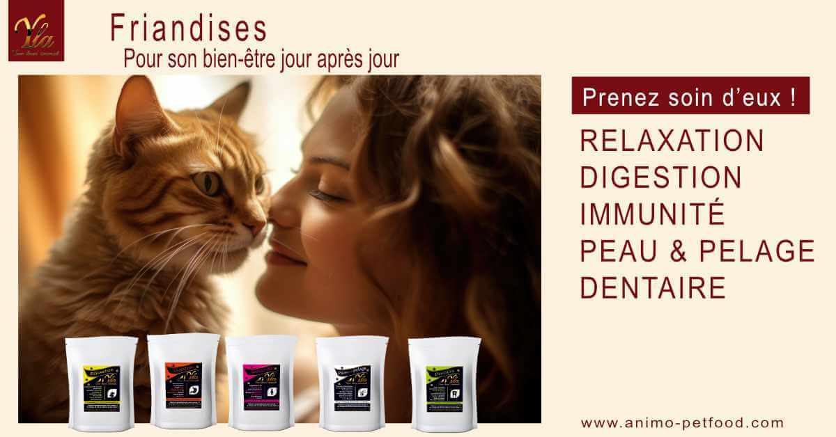 friandises pour chat